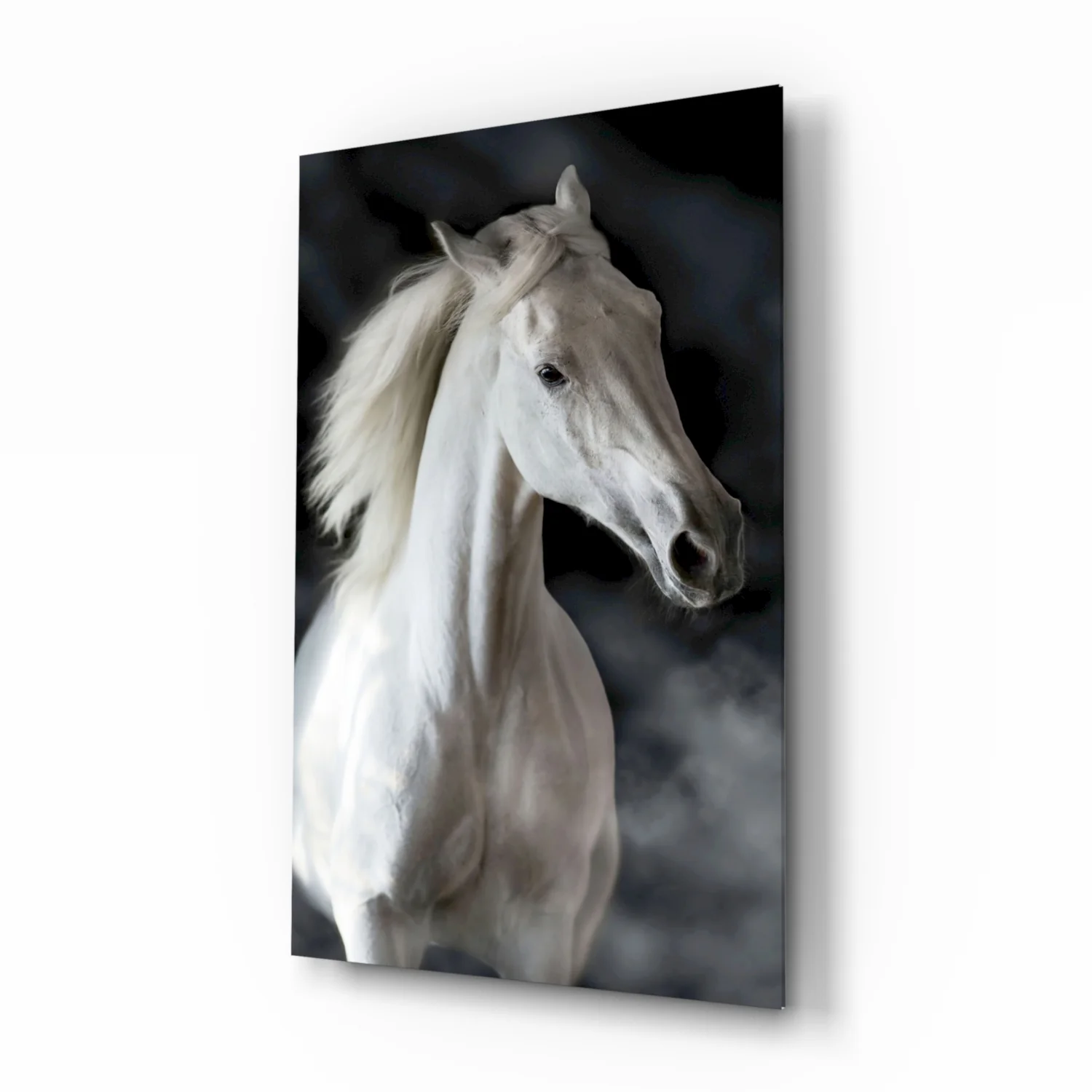 Horse Glass Wall Art