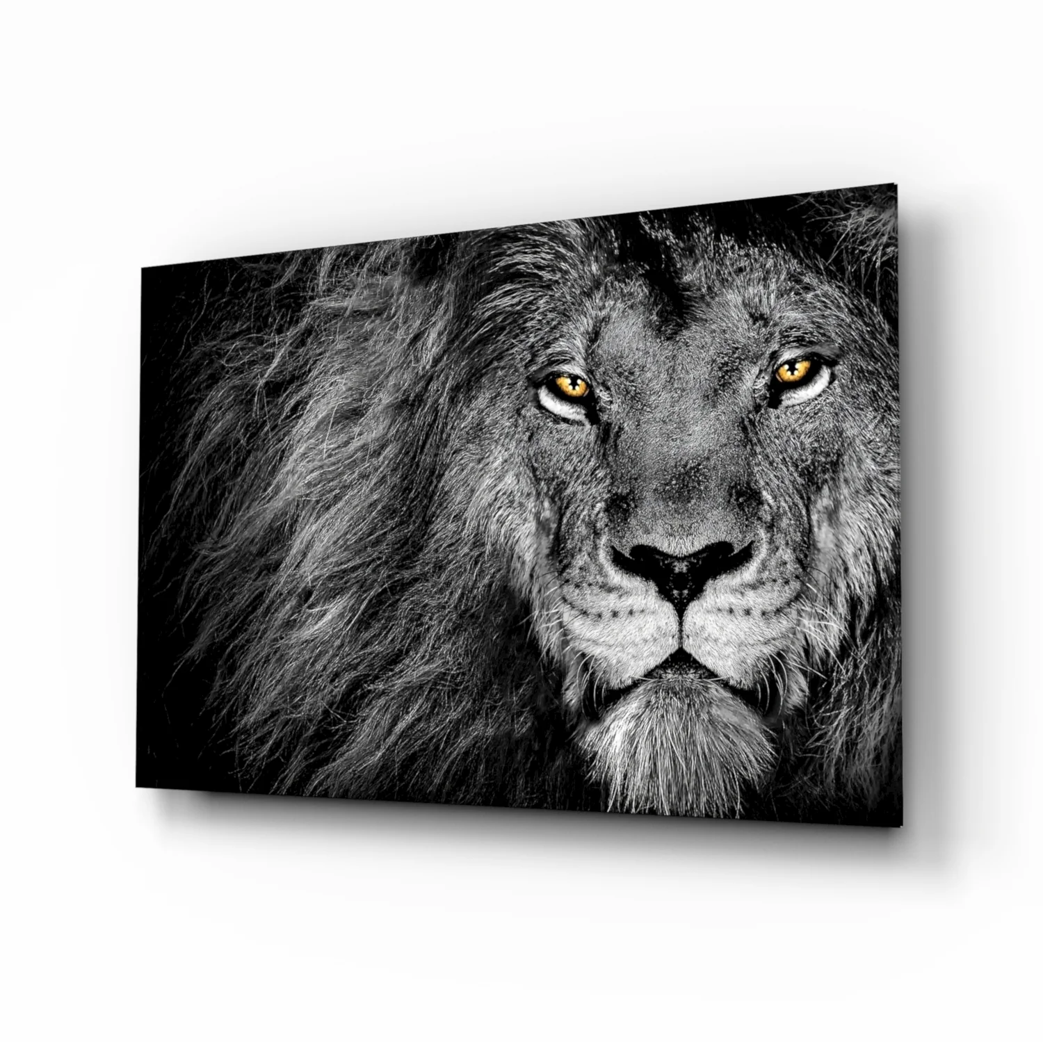 Lion Glass Wall Art