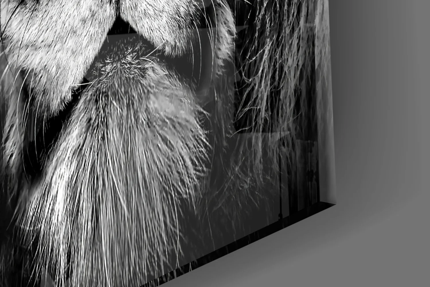 Lion Glass Wall Art - Image 7