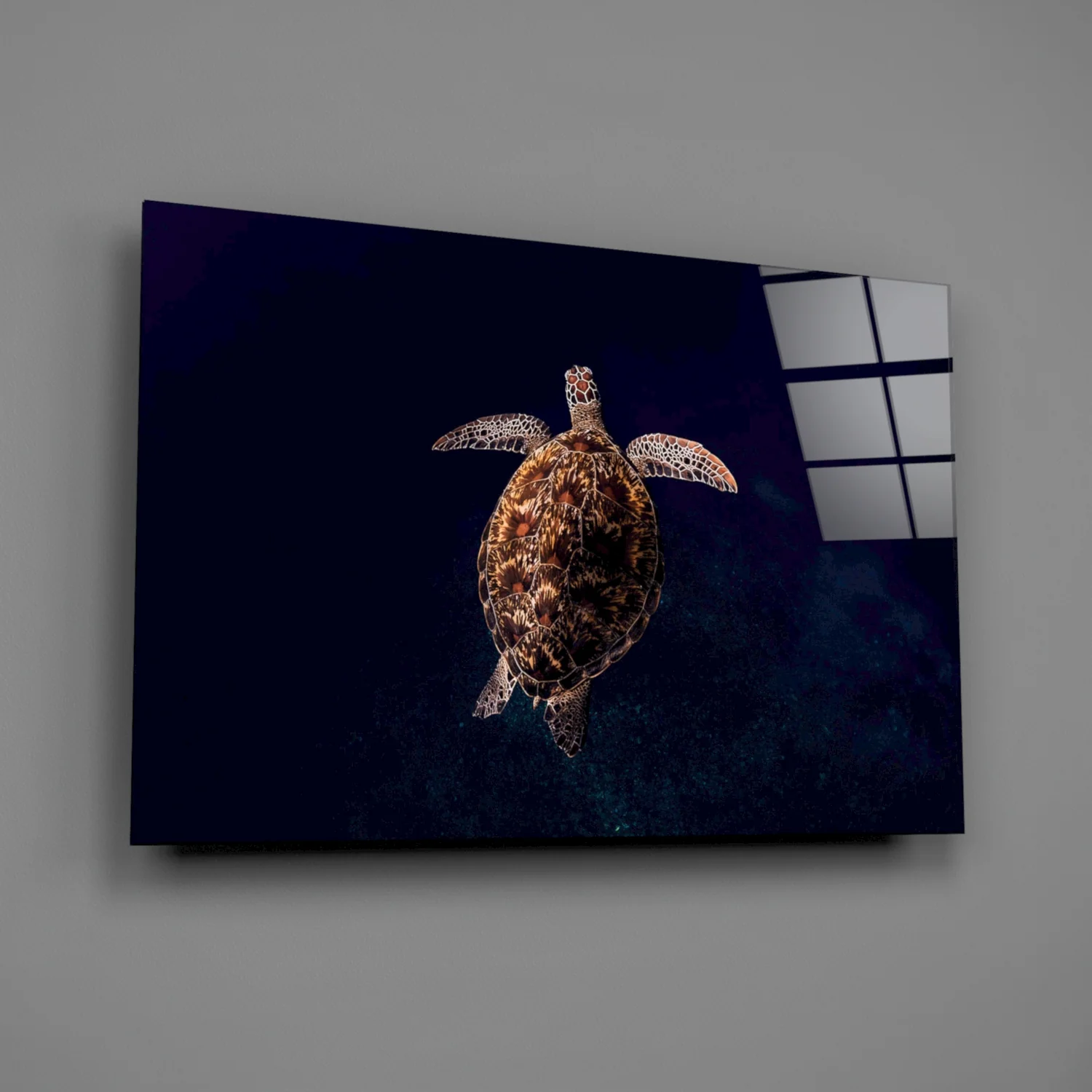 Tortoise Glass Wall Art - Image 2