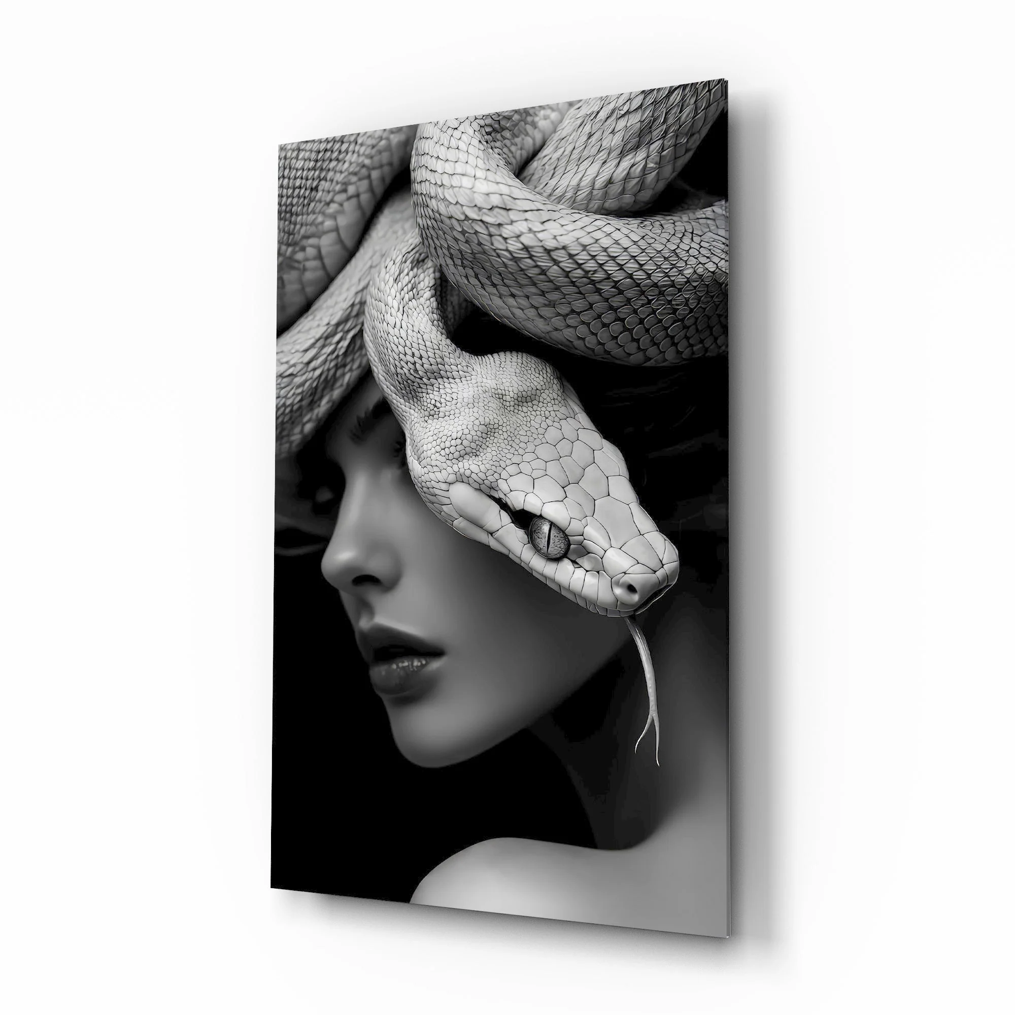 Snake Wall Art Glass Wall Art