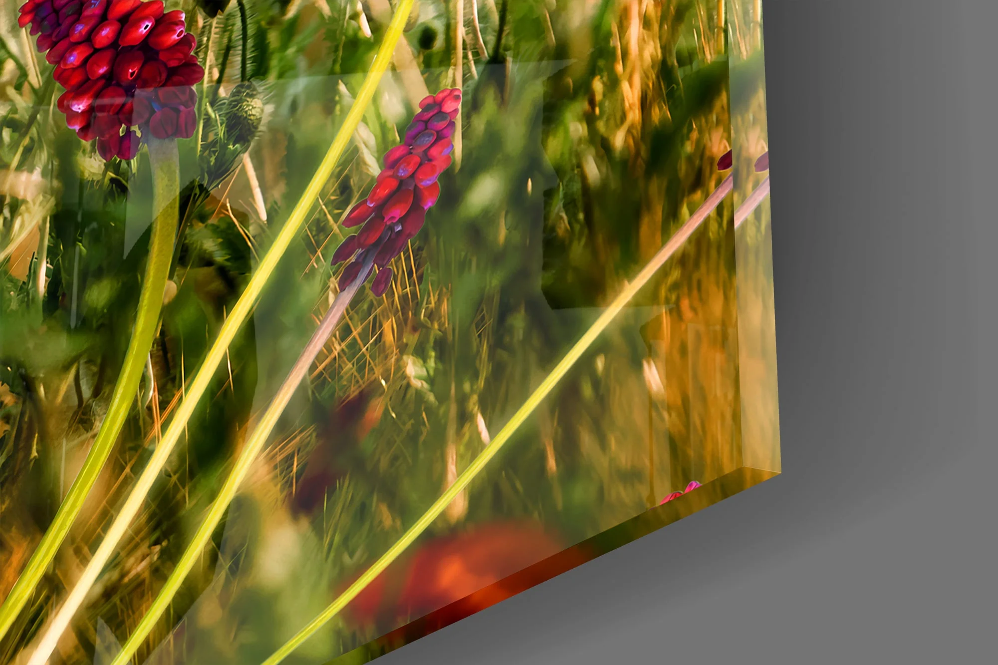 Vivid Glass Wall Art - Image 3