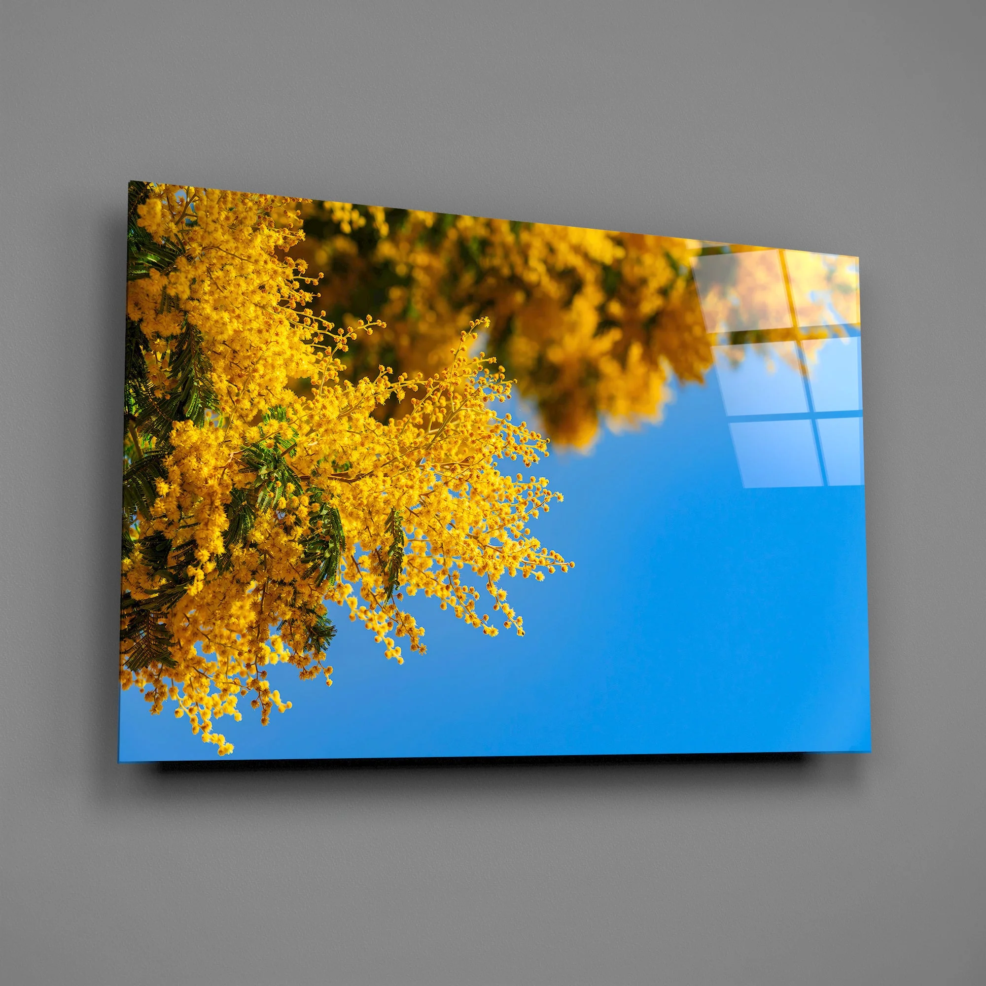 Golden Mimosa Bloom Glass Wall Art - Image 2